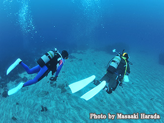 It feels good to swim leisurely on the sand.