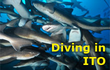 Diving in ITO