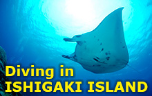 The readers’ No.1 choice diving area in Japan!