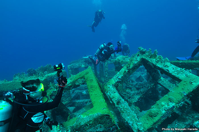 The area around the stacked blocks is a perfect habitat for fish.