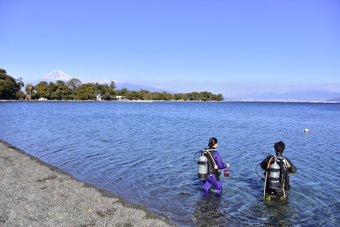 On a clear day, you can enjoy diving at Osezaki while looking at Mt. Fuji.