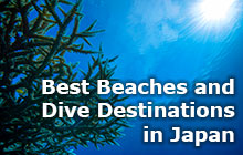 Best Beaches and Dive Destinations in Japan